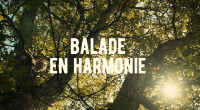 Balade en harmonie Bucolique Festival