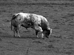 01 (163b)aa.jpg